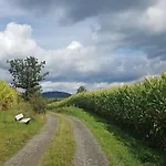 Dorlar