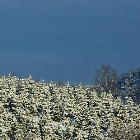 公寓 Dorlar 施马伦贝格