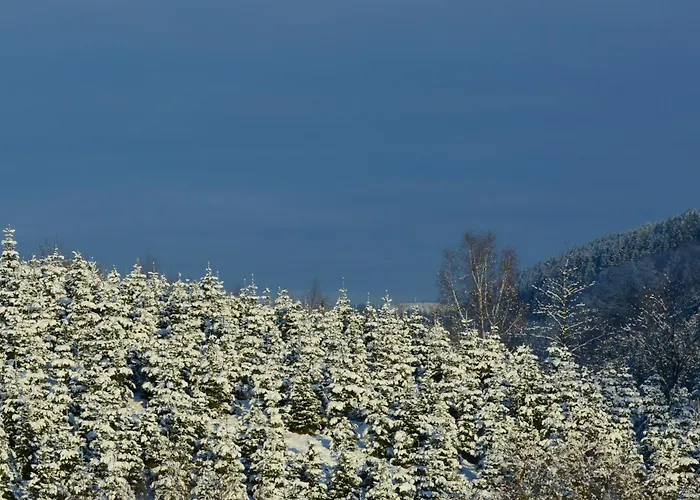 Apartment Dorlar Schmallenberg